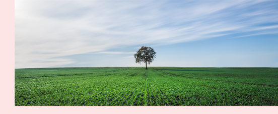 Terre agricole© wirestock-freepik